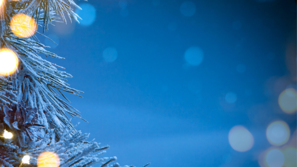 Glückliches und gesundes 2024. 🎉🎇🍾