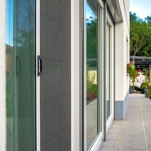 Nova okna, pa se rosijo?